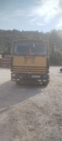 camion-renault-tb-1984-bordj-menaiel-boumerdes-algerie