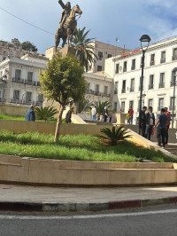 local-location-alger-centre-algerie