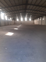 hangar-location-setif-algerie