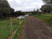 terrain-vente-tipaza-kolea-algerie