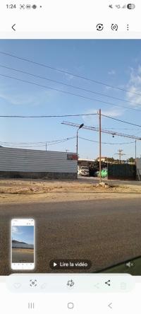 terrain-vente-tipaza-kolea-algerie