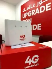 Modem 4G ( Vous pouvez le flasher ).