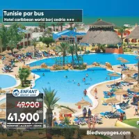 voyage organise par bus hotel caribbean world borj cedria 41.900