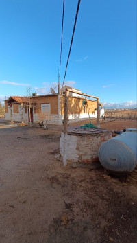 terrain-agricole-vente-sidi-bel-abbes-algerie