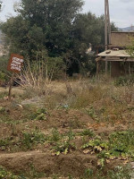 terrain-vente-tlemcen-algerie