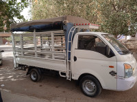 camion-h100-hyundai-2007-algerie