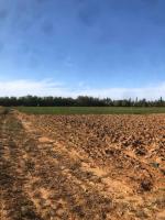 terrain-agricole-vente-mostaganem-mesra-algerie