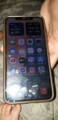 apel xs max