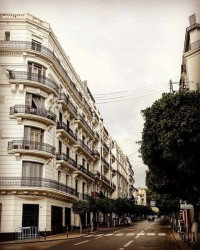 appartement-vente-f5-alger-centre-algerie