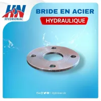 BRIDE ACIER 