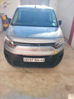 utilitaire-fiat-doblo-2024-brofissionel-amira-arras-mila-algerie