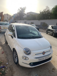 voitures-fiat-500-2023-club-tlemcen-algerie