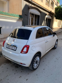 voitures-fiat-500-2024-club-tlemcen-algerie