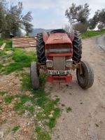 tracteurs-marque-2-massy-ferguson-souk-oufella-bejaia-algerie