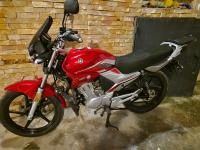 motos-et-scooters-yamaha-ybr-125-2024-annaba-algerie