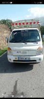 camion-h100-2007-ain-el-hammam-tizi-ouzou-algerie