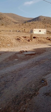 terrain-vente-mascara-sig-algerie