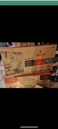 الجزائر 