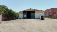 Location Hangar Boumerdès Hammedi