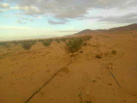 terrain-agricole-vente-djelfa-ain-maabed-algerie