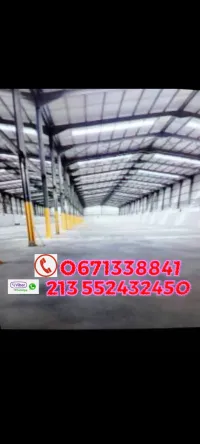 Location Hangar Oran Oran