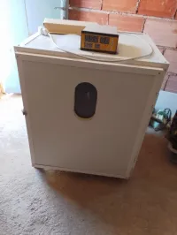 فقاسة البيض