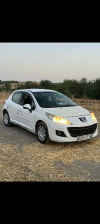 cars-peugeot-207-2012-constantine-algeria