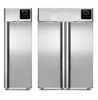Armoire négative (desmon) 700/1400 litres 