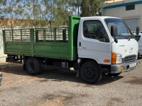 camion-hd45-hyundai-2009-tiaret-algerie