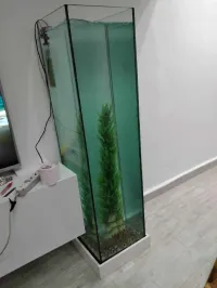 Aux merveilles exotiques 