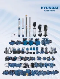 PARTENAIRE ET DISTRIBUTEUR EXCLUSIF HYUNDAI PUMPS EN ALGERIE