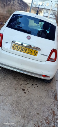 voitures-fiat-500-2024-tlemcen-algerie