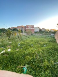 أرض-بيع-الجزائر-الرغاية