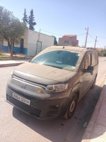 voitures-fiat-professional-doblo-2023-iatlia-djelfa-algerie