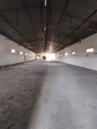 Location Hangar Alger Ouled chebel