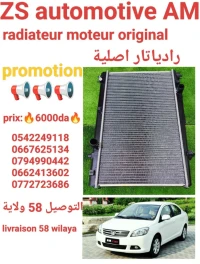 Radiateur moteur original great wall c 30 