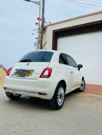 voitures-fiat-500-2024-delcevita-oran-algerie