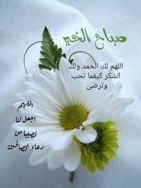 شقة-بيع-4-غرف-الجزائر-برج-الكيفان
