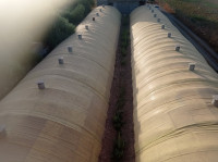 hangar-vente-bouira-algerie