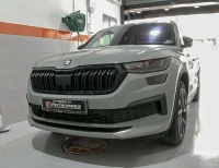 Désactivation Adblue / FAP / EGR / skoda kodiaq