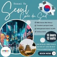 Voyage a Seoul Coree du Sud