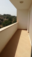 appartement-vente-f4-boumerdes-thenia-algerie