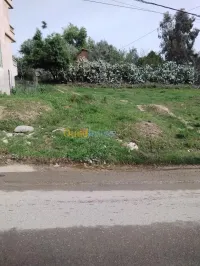 Vente Terrain Skikda Skikda