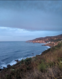 terrain-vente-bejaia-toudja-algerie