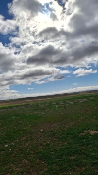 أرض-فلاحية-بيع-الجلفة-عين-وسارة-الجزائر