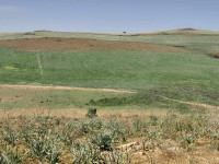 terrain-agricole-vente-bouira-sour-el-ghouzlane-algerie