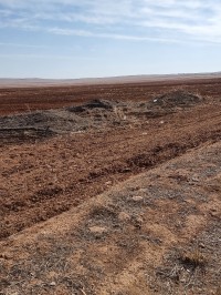 أرض-فلاحية-بيع-تيارت-عين-بوشقيف-الجزائر