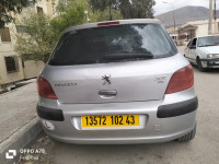 voitures-peugeot-307-2002-tiberguent-mila-algerie