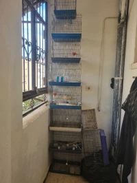 Cages pour oiseaux 