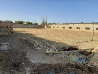 terrain-agricole-vente-oran-misseghine-algerie